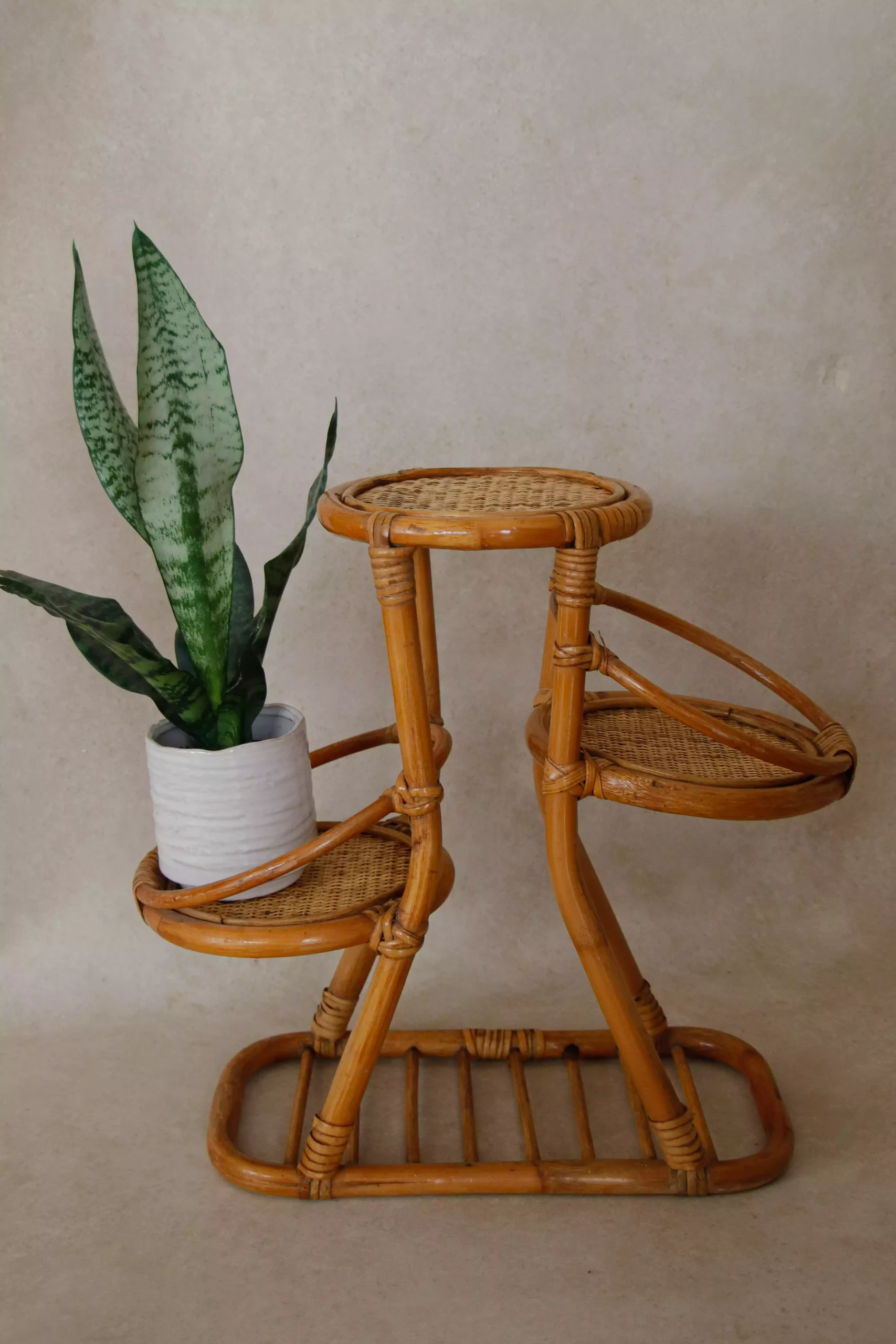 Rangement en rotin avec pot de plante verte.