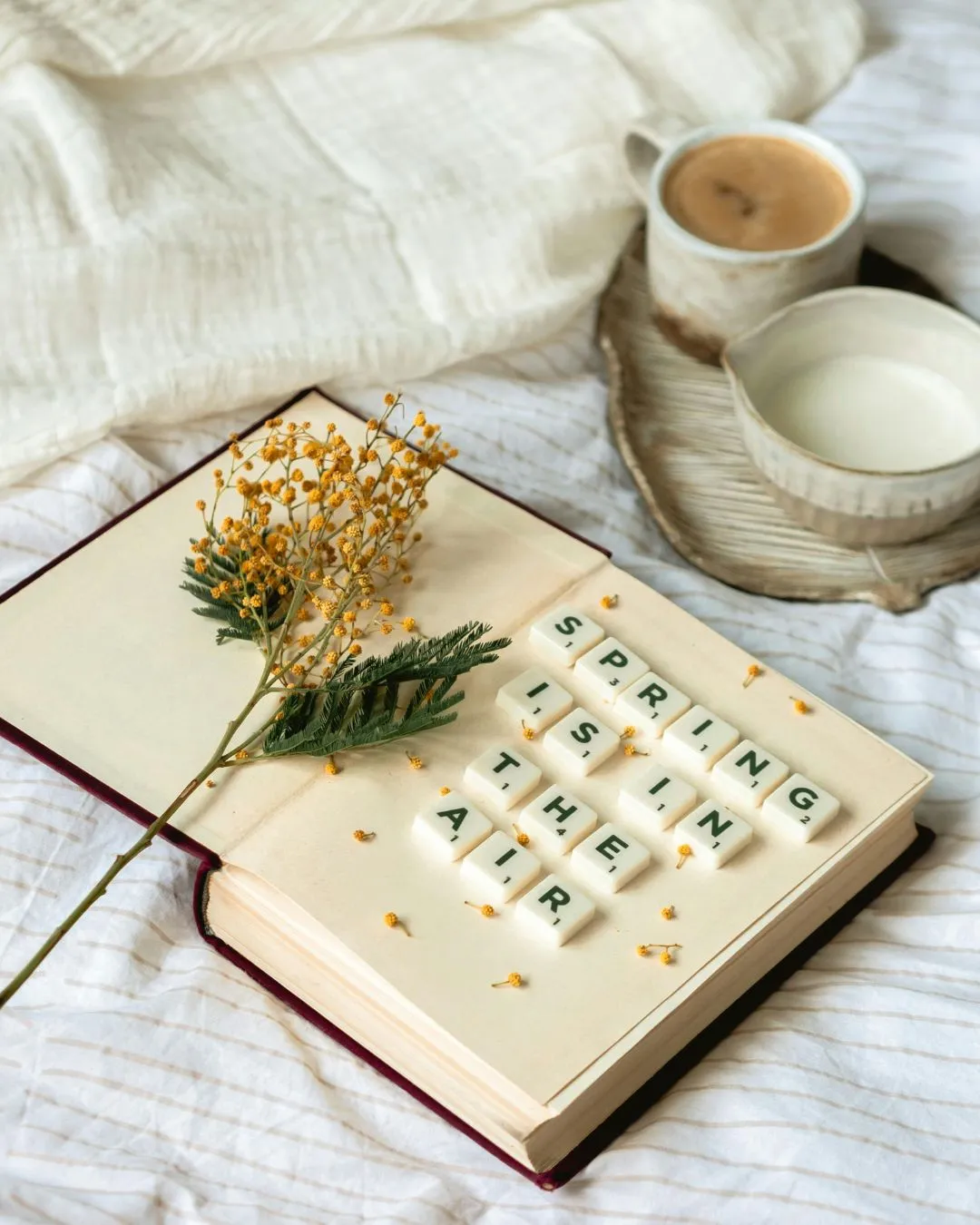 Les prix doux – Joliment Trouvé